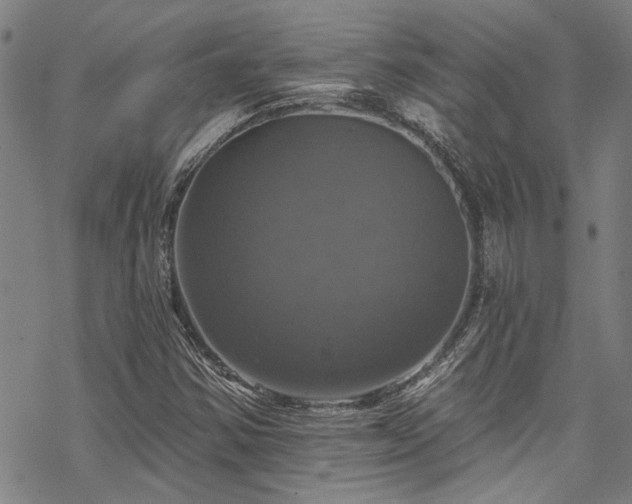 X0000068841354200605051251