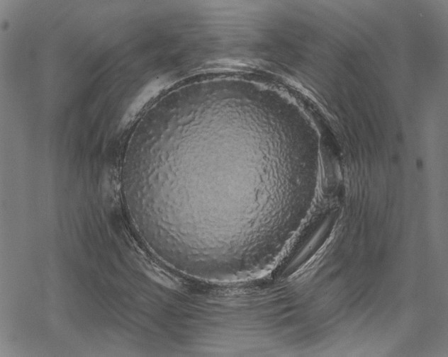 X0000068841355200605051251