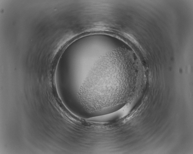 X0000068841356200605051251