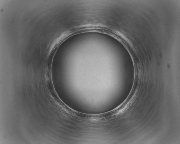 X0000068841357200605051251