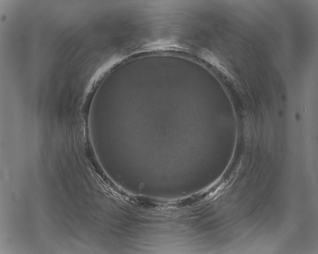 X0000068841358200605051251