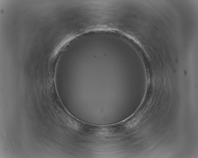 X0000068841359200605051251