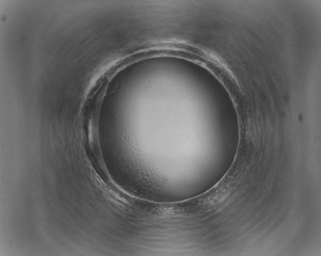 X0000068841360200605051251