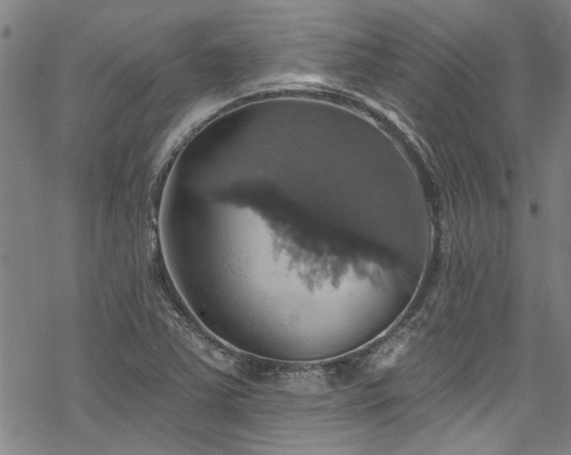 X0000068841363200605051251