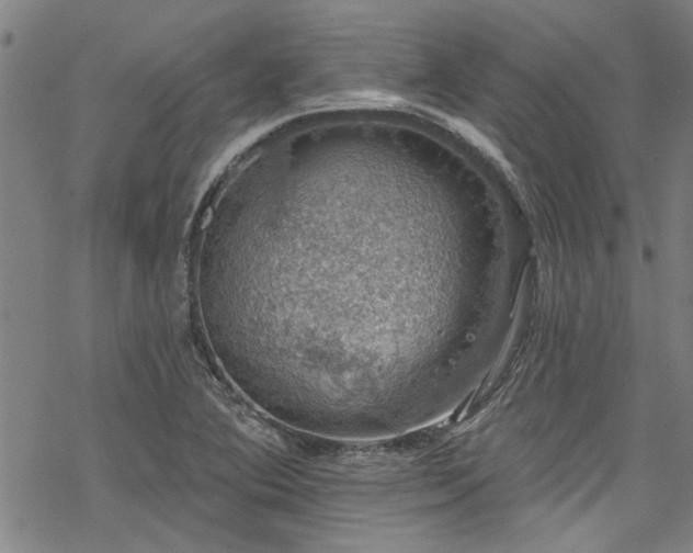 X0000068841364200605051251