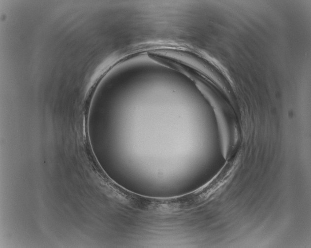 X0000068841365200605051251