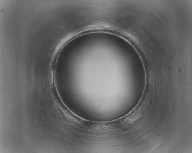 X0000068841366200605051251