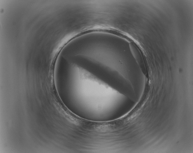 X0000068841367200605051251