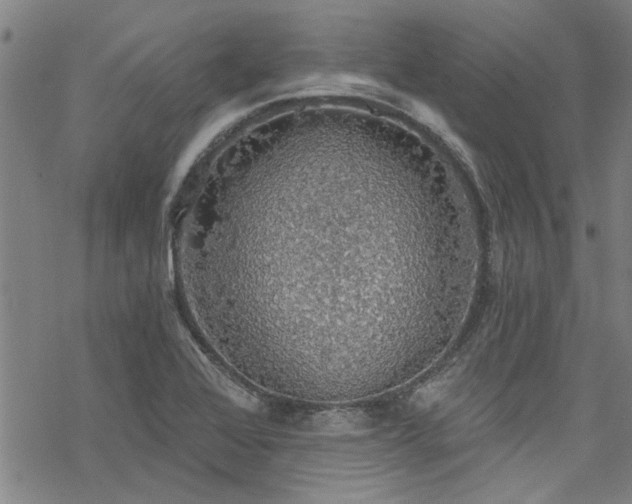 X0000068841368200605051251