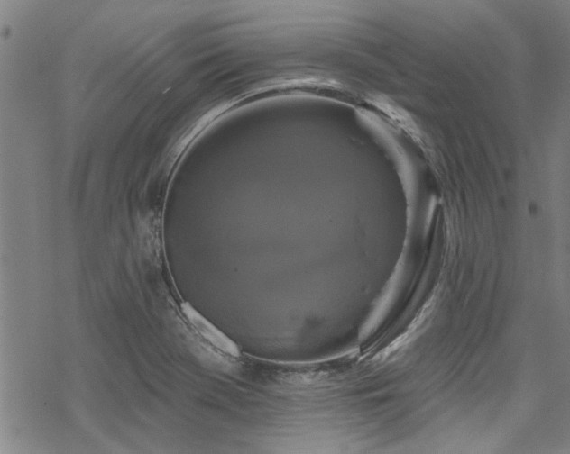 X0000068841369200605051251