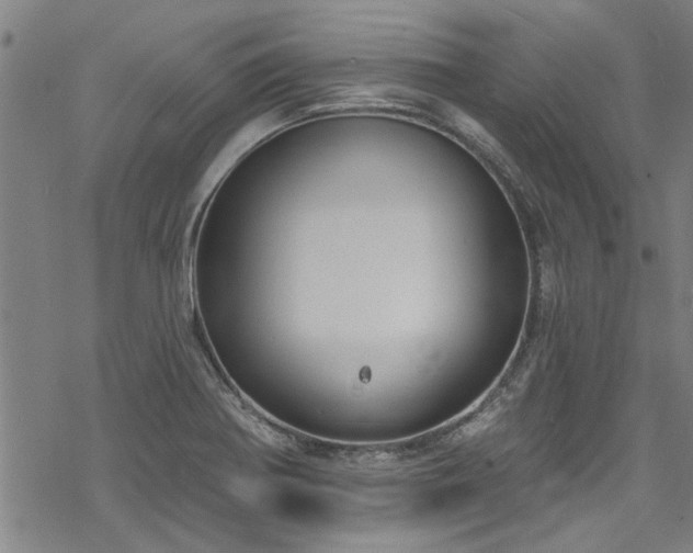 X0000068841370200605051251