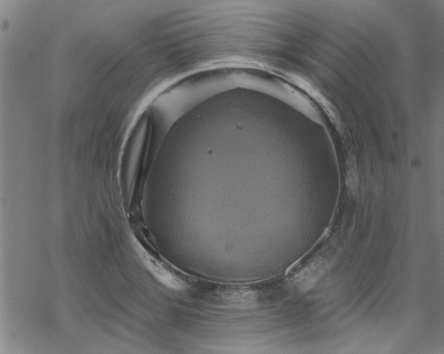 X0000068841372200605051251