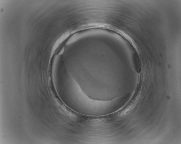 X0000068841373200605051251