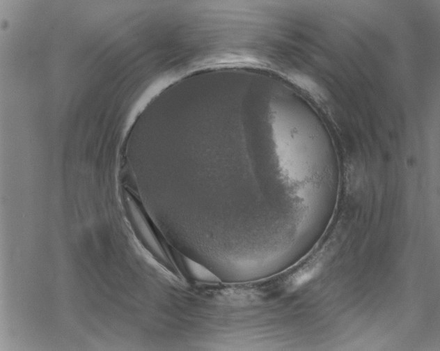 X0000068841374200605051251