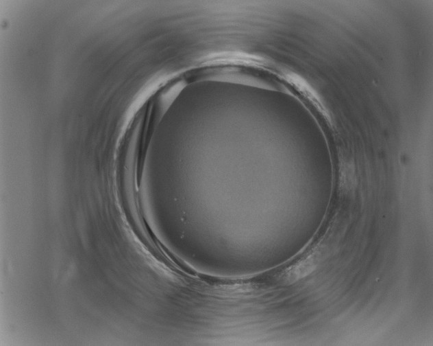 X0000068841376200605051251