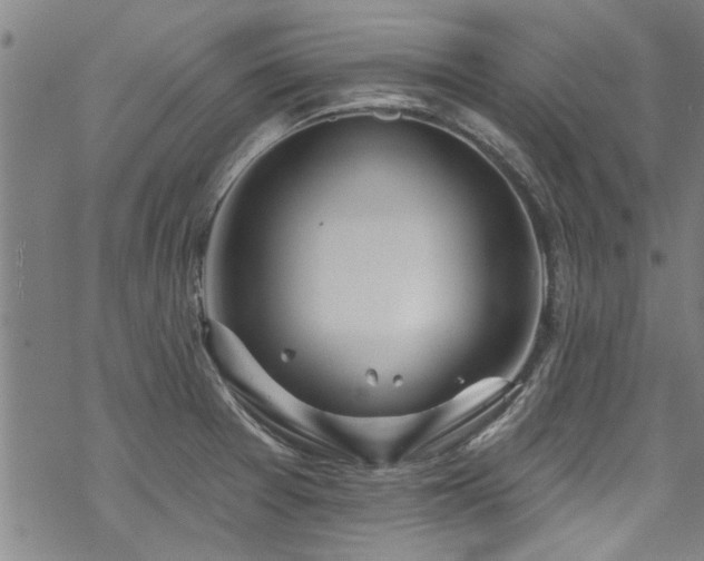 X0000068841377200605051251