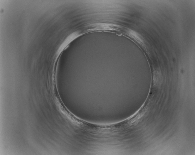 X0000068841378200605051251