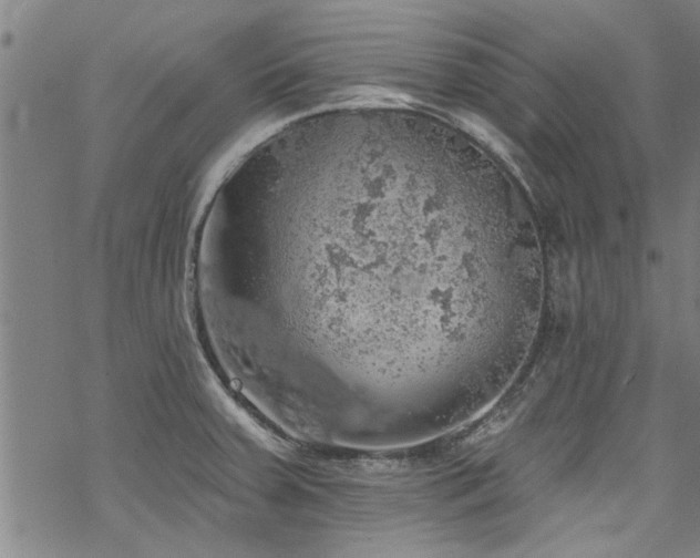 X0000068841379200605051251