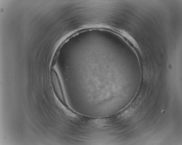 X0000068841380200605051251