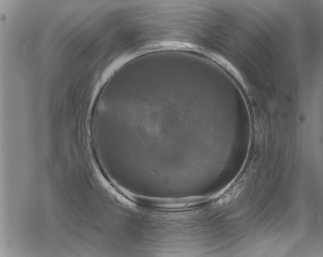 X0000068841381200605051251