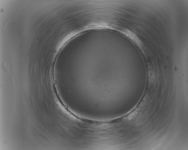 X0000068841382200605051251