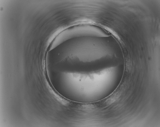 X0000068841383200605051251