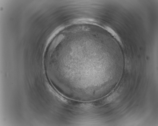 X0000068841384200605051251