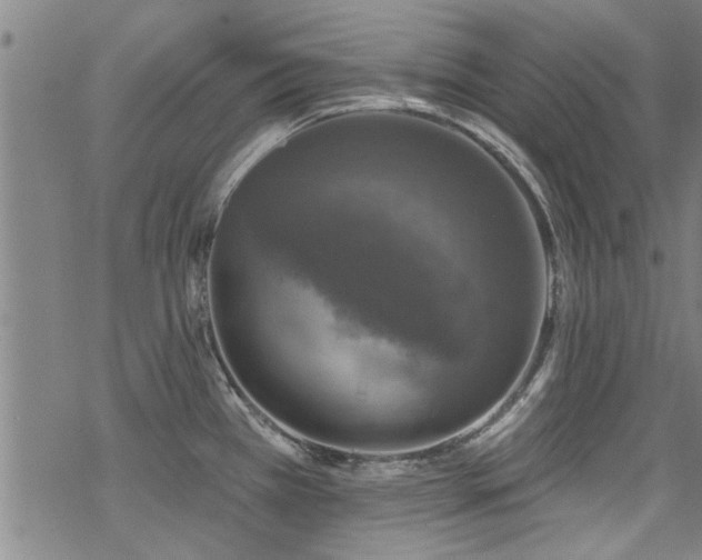 X0000068841385200605051251