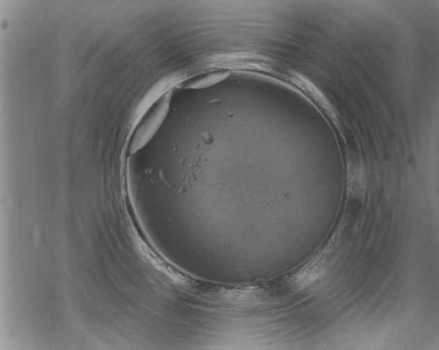 X0000068841386200605051251