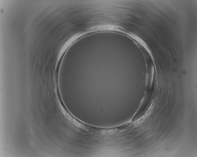 X0000068841389200605051250