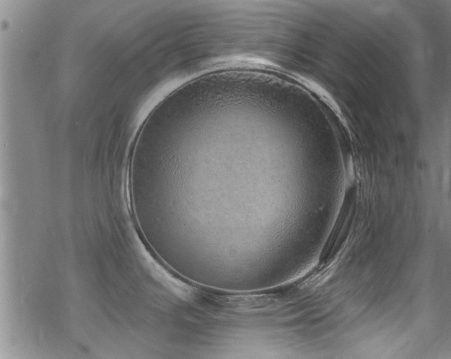 X0000068841391200605051250