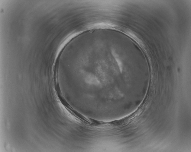 X0000068841392200605051250