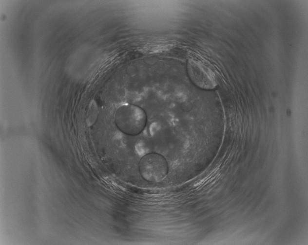 X0000068841393200605051250