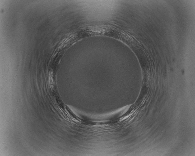 X0000068841394200605051250