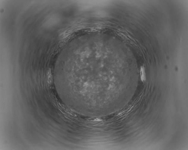 X0000068841395200605051250