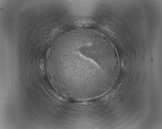 X0000068841396200605051250