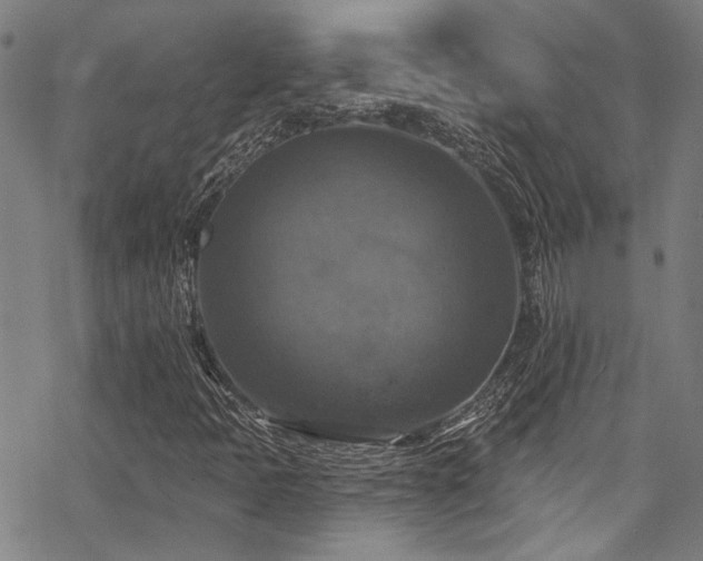 X0000068841397200605051250