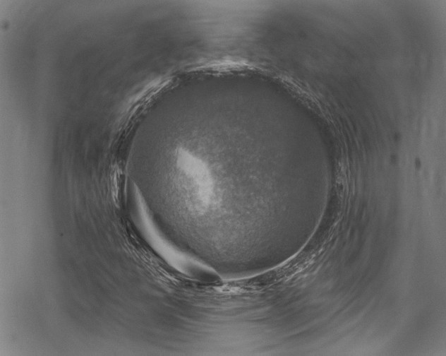 X0000068841398200605051250