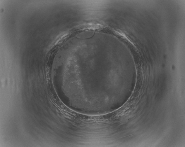 X0000068841399200605051250