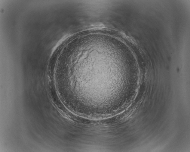 X0000068841400200605051250