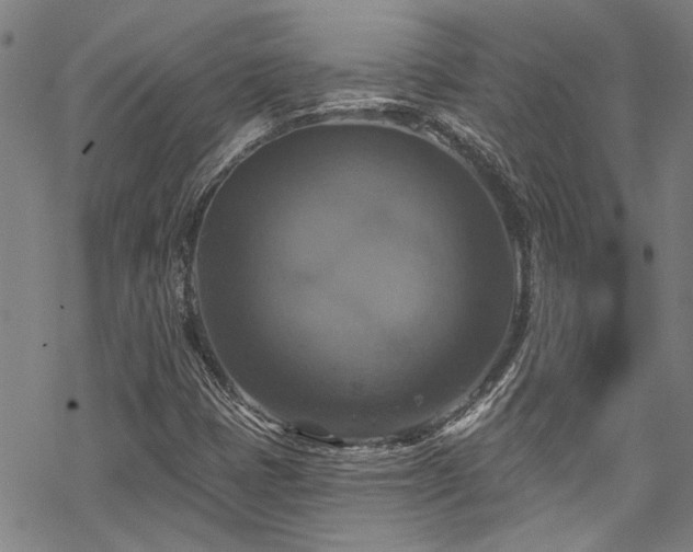 X0000068841401200605051250