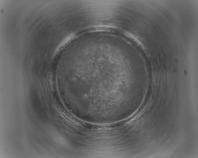 X0000068841403200605051250