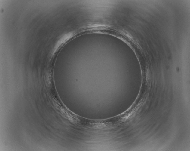 X0000068841405200605051250