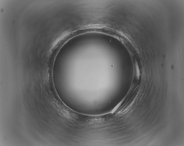 X0000068841406200605051250