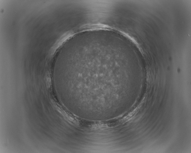 X0000068841407200605051250