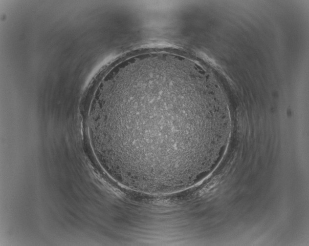 X0000068841408200605051250