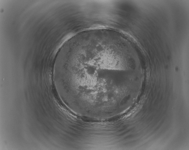 X0000068841409200605051250