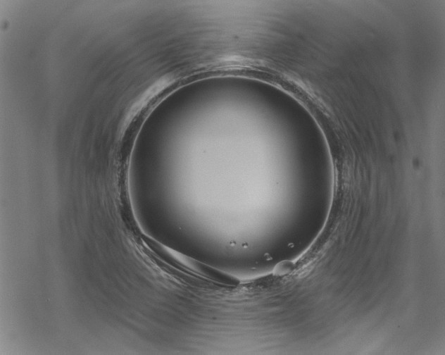 X0000068841410200605051250