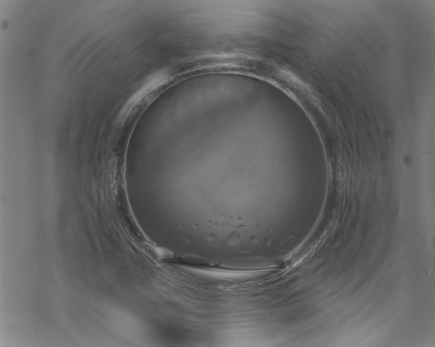 X0000068841411200605051250