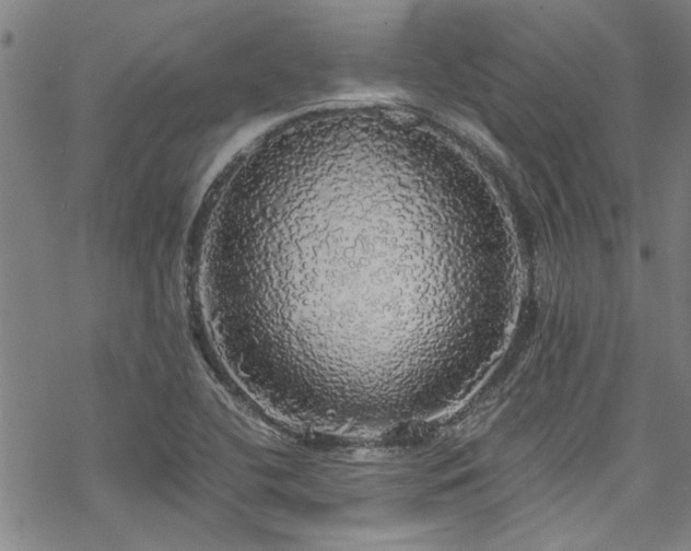 X0000068841412200605051250